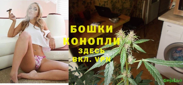 сатива Киреевск