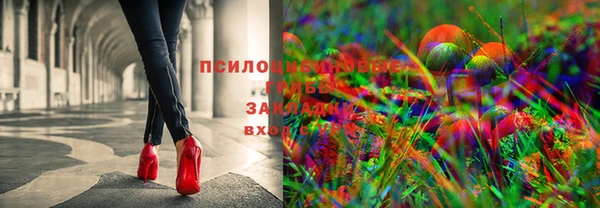 гидра Козельск