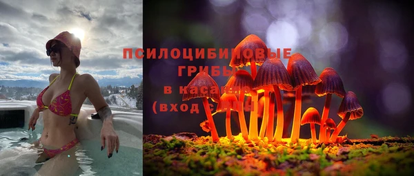 меф Кинешма